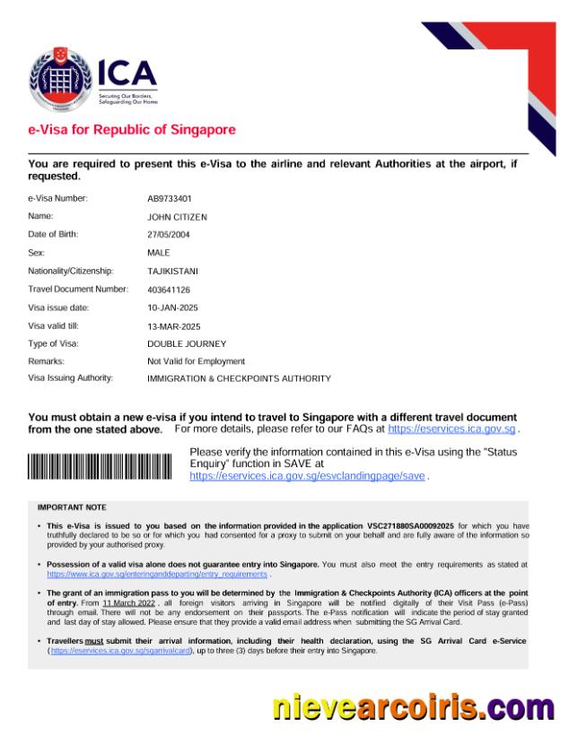 Singapore e-visa, version 2